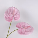 Artificial Anthurium Stem Pink Anthurium Life-like Anthurium